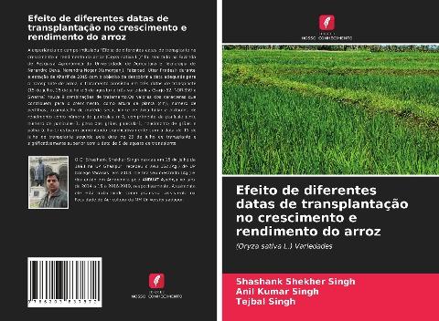 Efeito de diferentes datas de transplantação no crescimento e rendimento do arroz
