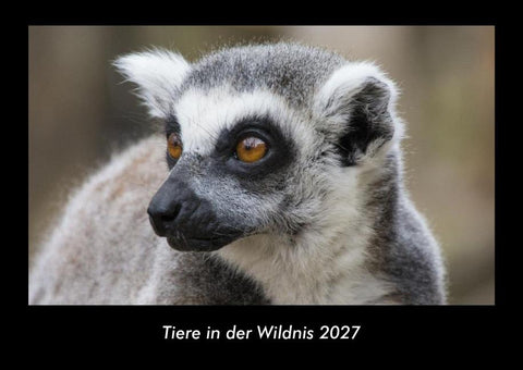 Tiere in der Wildnis 2027 Fotokalender DIN A3