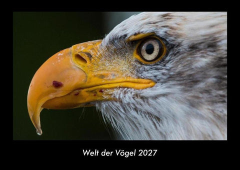 Welt der Vögel 2027 Fotokalender DIN A3