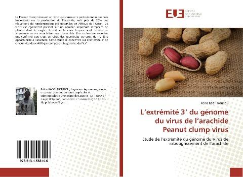 L'extrémité 3' du génome du virus de l'arachide Peanut clump virus
