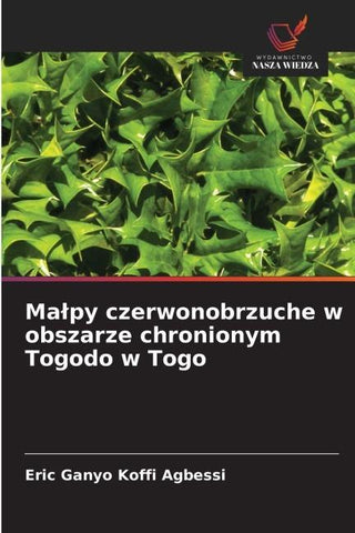 Ma¿py czerwonobrzuche w obszarze chronionym Togodo w Togo
