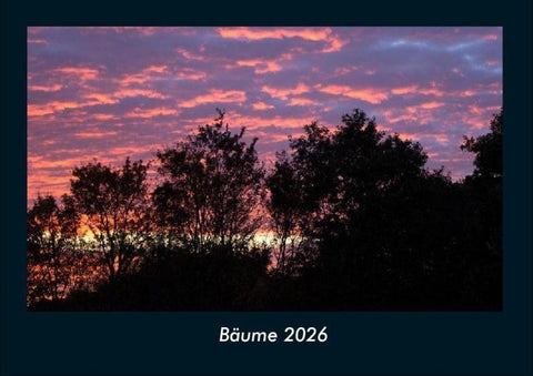 Bäume 2026 Fotokalender DIN A4