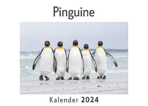 Pinguine (Wandkalender 2024, Kalender DIN A4 quer, Monatskalender im Querformat mit Kalendarium, Das perfekte Geschenk)