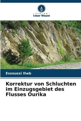 Korrektur von Schluchten im Einzugsgebiet des Flusses Ourika