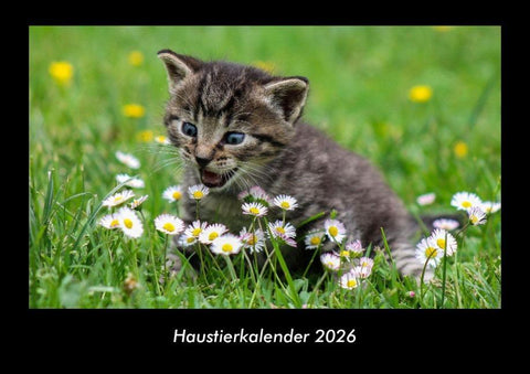 Haustierkalender 2026 Fotokalender DIN A3