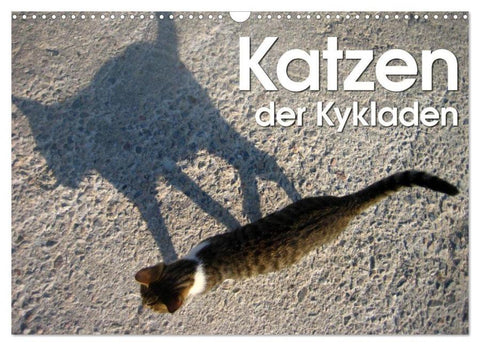 Katzen der Kykladen (Wandkalender 2026 DIN A3 quer), CALVENDO Monatskalender