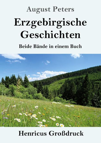 Erzgebirgische Geschichten (Großdruck)