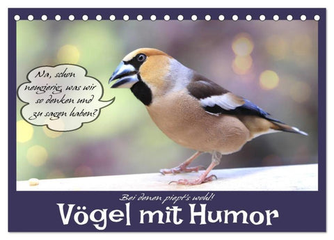 Vögel mit Humor (Tischkalender 2026 DIN A5 quer), CALVENDO Monatskalender