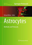 Astrocytes