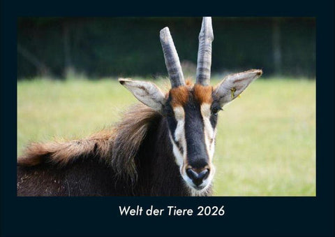 Welt der Tiere 2026 Fotokalender DIN A4