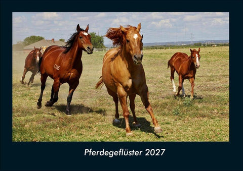Pferdegeflüster 2027 Fotokalender DIN A4