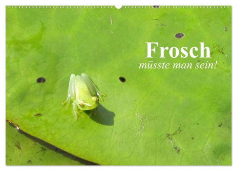 Frosch müsste man sein! (Wandkalender 2026 DIN A2 quer), CALVENDO Monatskalender