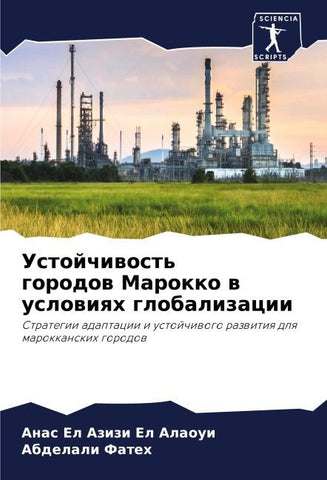 Ustojchiwost' gorodow Marokko w uslowiqh globalizacii