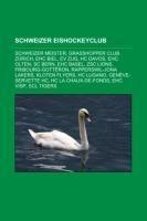 Schweizer Eishockeyclub