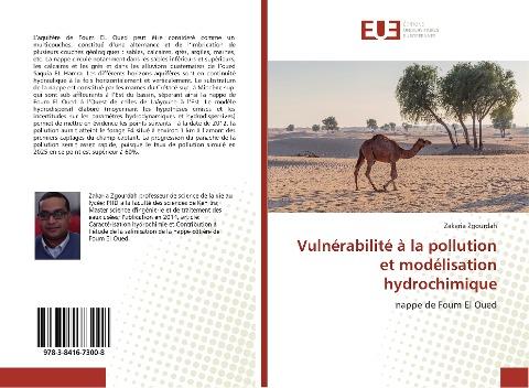 Vulnérabilité à la pollution et modélisation hydrochimique