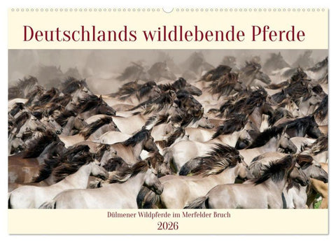Deutschlands wildlebende Pferde (Wandkalender 2026 DIN A2 quer), CALVENDO Monatskalender