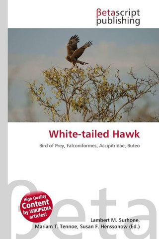 White-tailed Hawk