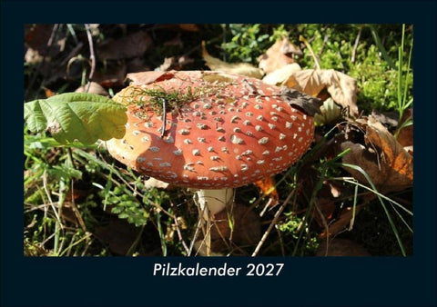 Pilzkalender 2027 Fotokalender DIN A5