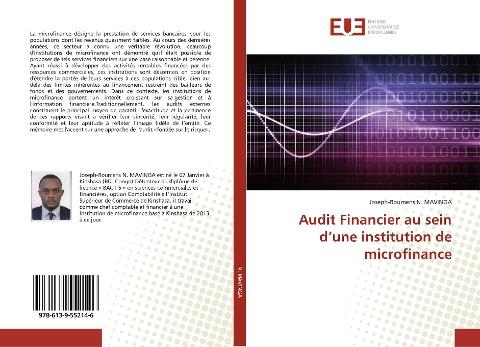 Audit Financier au sein d'une institution de microfinance