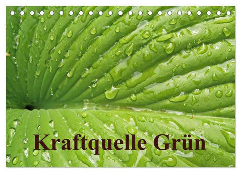 Kraftquelle Grün (Tischkalender 2026 DIN A5 quer), CALVENDO Monatskalender