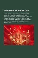 Amerikanische Hunderasse