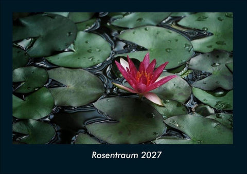 Rosentraum 2027 Fotokalender DIN A4