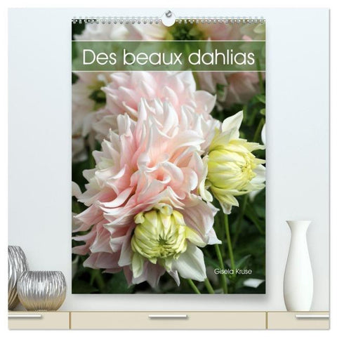 Des beaux dahlias  (Calendrier mural 2026 DIN A2 horizontal) calendrier de bureau