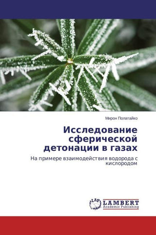 Issledowanie sfericheskoj detonacii w gazah