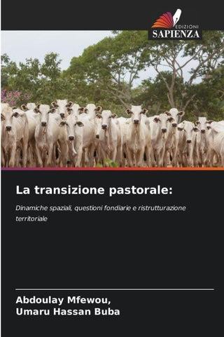 La transizione pastorale: