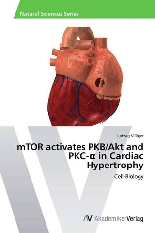 mTOR activates PKB/Akt and PKC-¿ in Cardiac Hypertrophy
