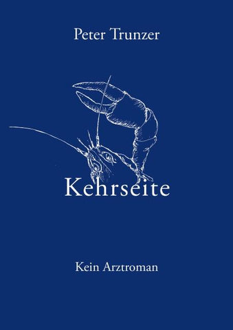 Kehrseite
