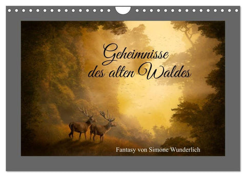 Geheimnisse des alten Waldes (Wandkalender 2026 DIN A4 quer), CALVENDO Monatskalender
