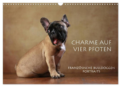 Charme auf vier Pfoten - Französische Bulldoggen Portraits (Wandkalender 2026 DIN A3 quer), CALVENDO Monatskalender