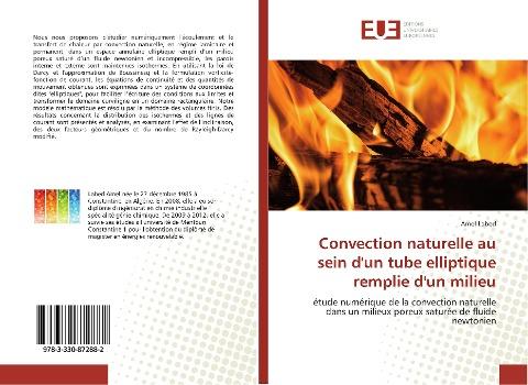 Convection naturelle au sein d'un tube elliptique remplie d'un milieu