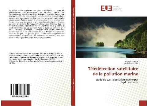 Télédétection satellitaire de la pollution marine