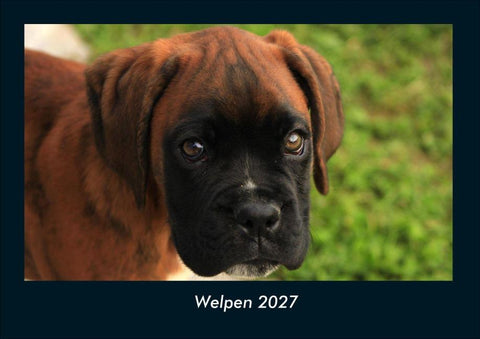 Welpen 2027 Fotokalender DIN A4