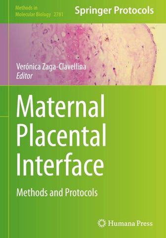 Maternal Placental Interface