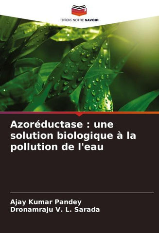 Azoréductase : une solution biologique à la pollution de l'eau