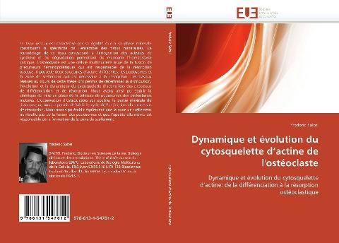 Dynamique et évolution du cytosquelette d'actine de l'ostéoclaste