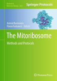 The Mitoribosome
