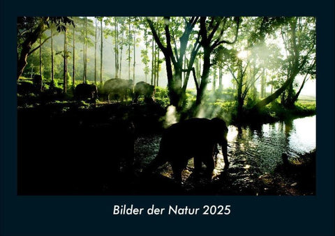 Bilder der Natur 2025 Fotokalender DIN A4