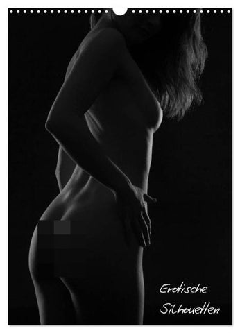 Erotische Silhouetten / CH-Version (Wandkalender 2026 DIN A3 hoch), CALVENDO Monatskalender
