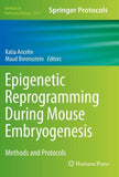 Epigenetic Reprogramming During Mouse Embryogenesis