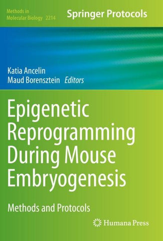 Epigenetic Reprogramming During Mouse Embryogenesis