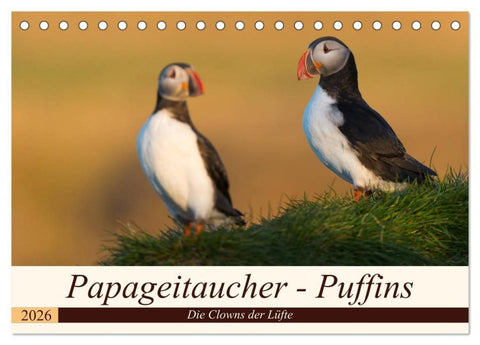 Papageitaucher - Puffins (Tischkalender 2026 DIN A5 quer), CALVENDO Monatskalender