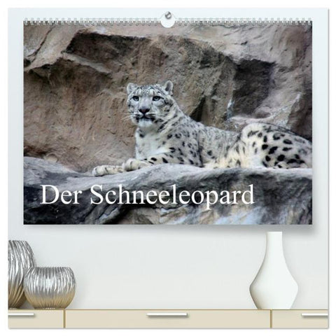 Der Schneeleopard (hochwertiger Premium Wandkalender 2026 DIN A2 quer), Kunstdruck in Hochglanz