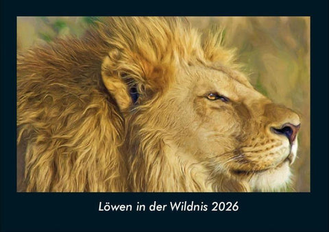 Löwen in der Wildnis 2026 Fotokalender DIN A4
