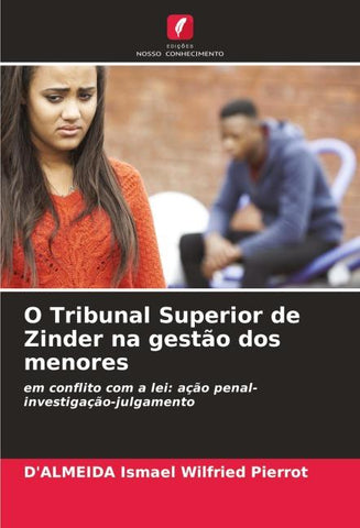 O Tribunal Superior de Zinder na gestão dos menores