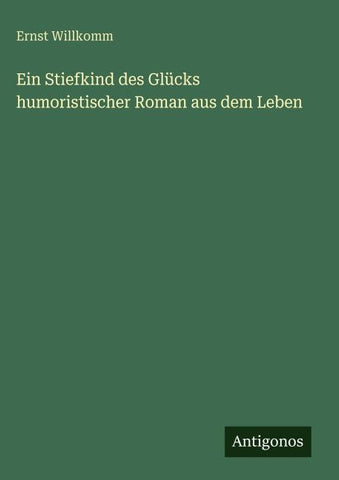 Ein Stiefkind des Glücks humoristischer Roman aus dem Leben