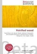 Petrified wood
